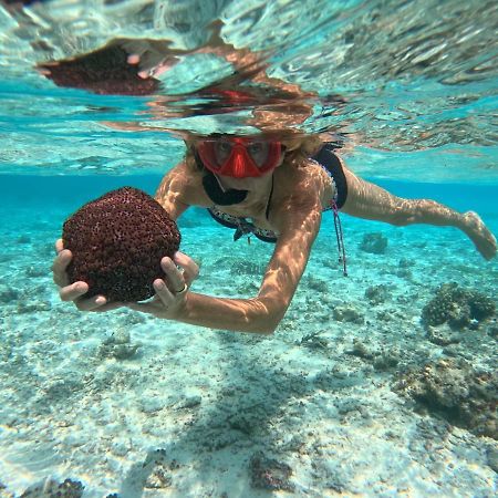 Adroit Beach Inn Guraidhoo  Eksteriør billede