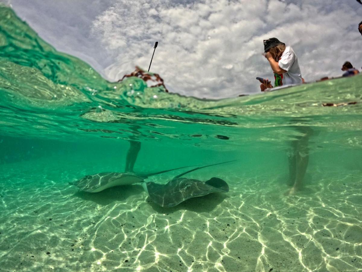 Adroit Beach Inn Guraidhoo  Eksteriør billede