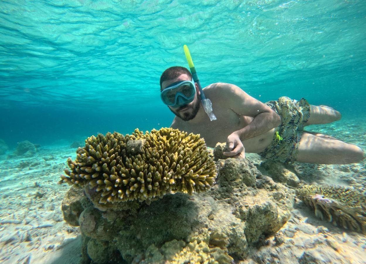 Adroit Beach Inn Guraidhoo  Eksteriør billede