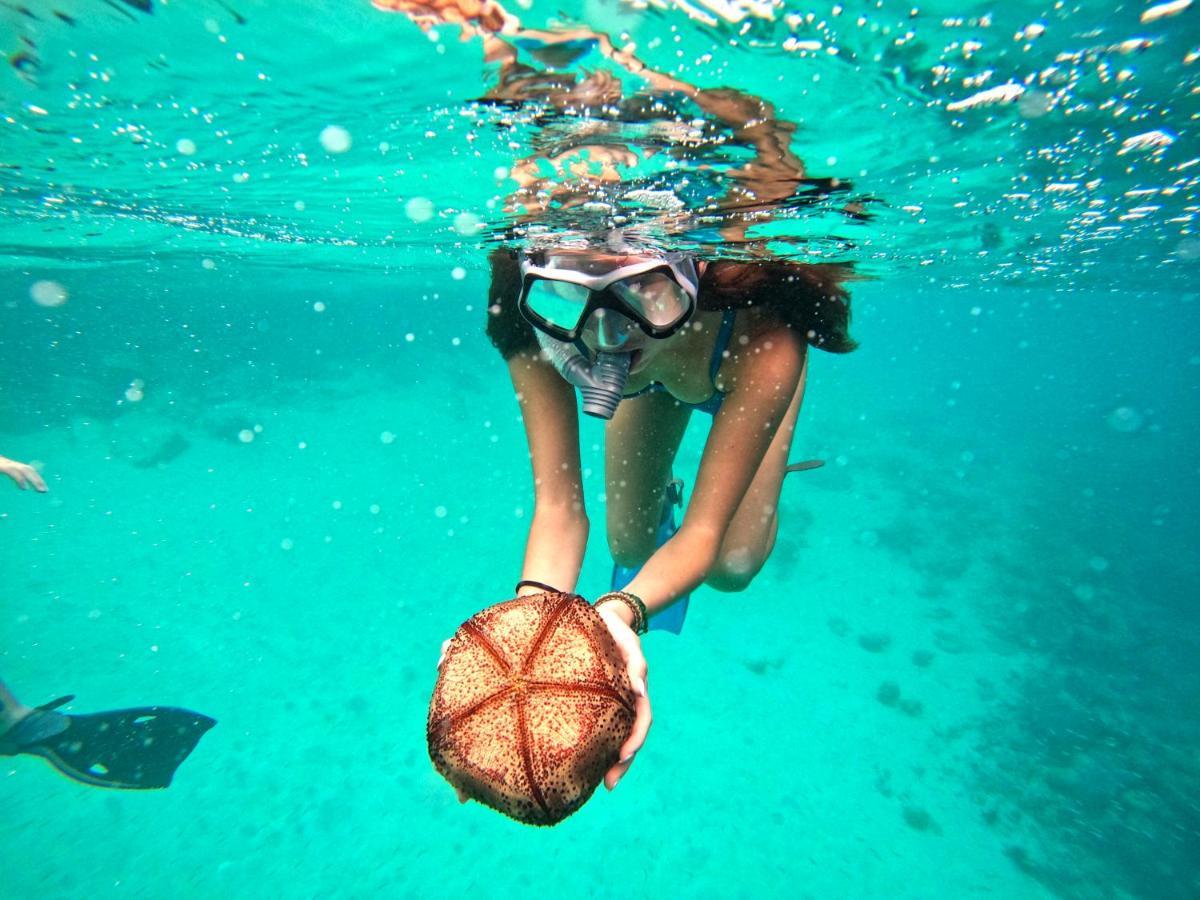 Adroit Beach Inn Guraidhoo  Eksteriør billede